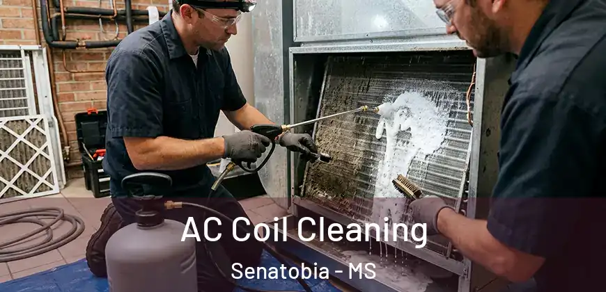 AC Coil Cleaning Senatobia - MS