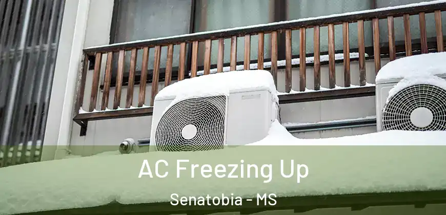 AC Freezing Up Senatobia - MS