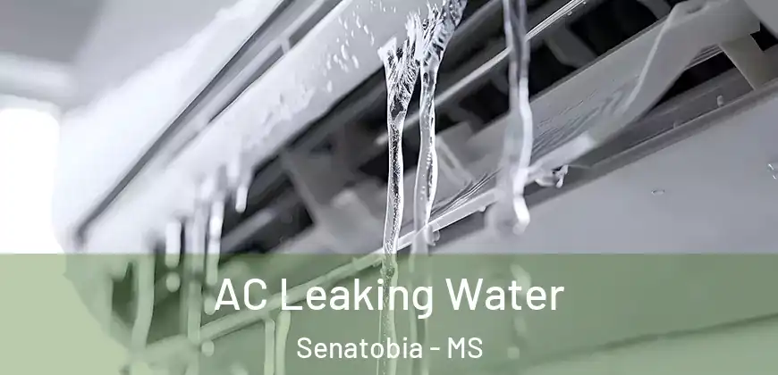 AC Leaking Water Senatobia - MS