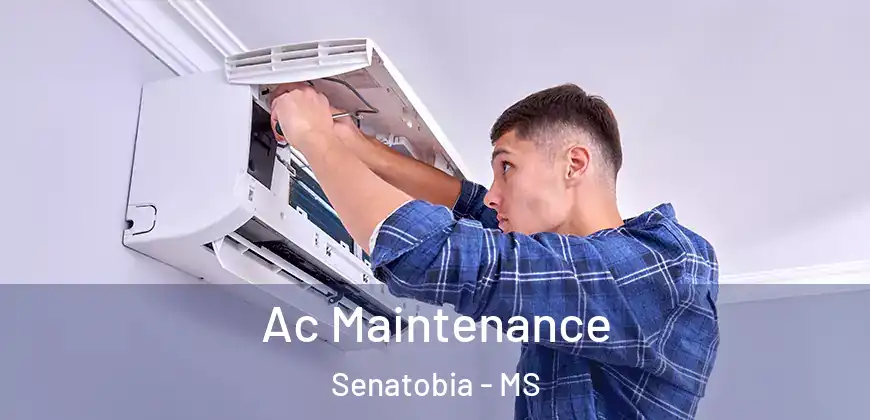 Ac Maintenance Senatobia - MS
