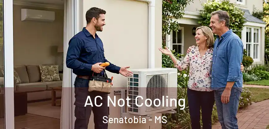 AC Not Cooling Senatobia - MS
