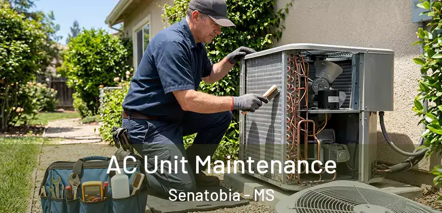 AC Unit Maintenance Senatobia - MS