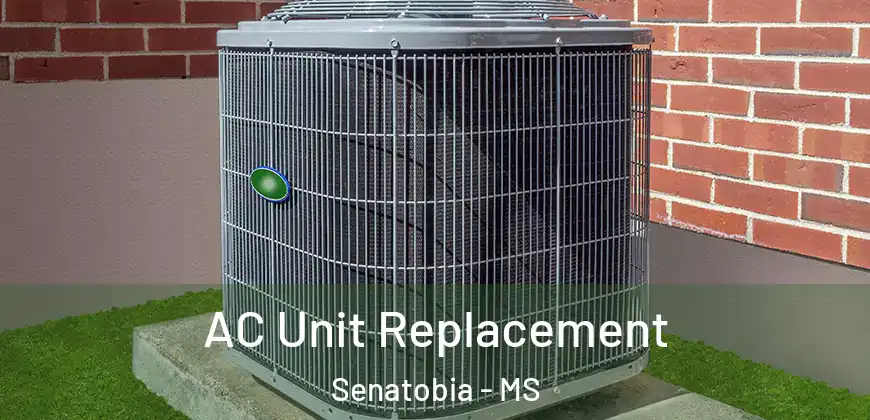 AC Unit Replacement Senatobia - MS