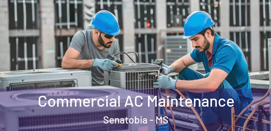 Commercial AC Maintenance Senatobia - MS
