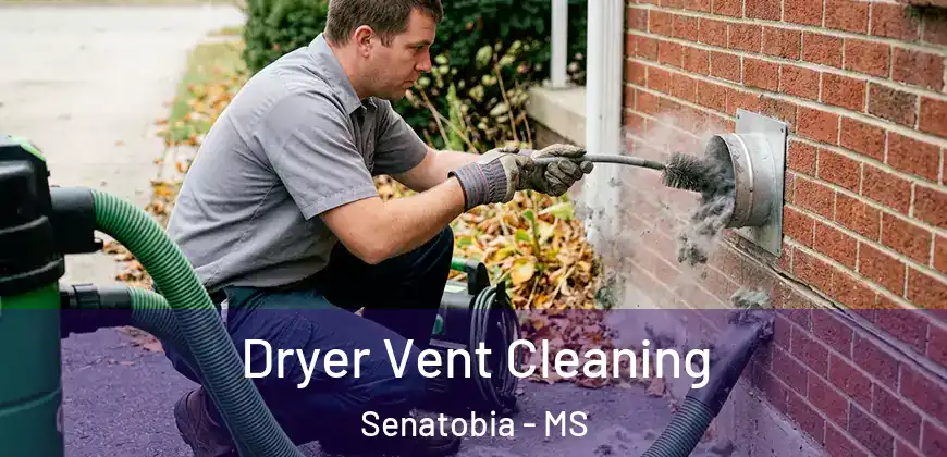 Dryer Vent Cleaning Senatobia - MS