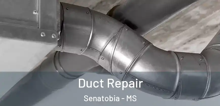 Duct Repair Senatobia - MS