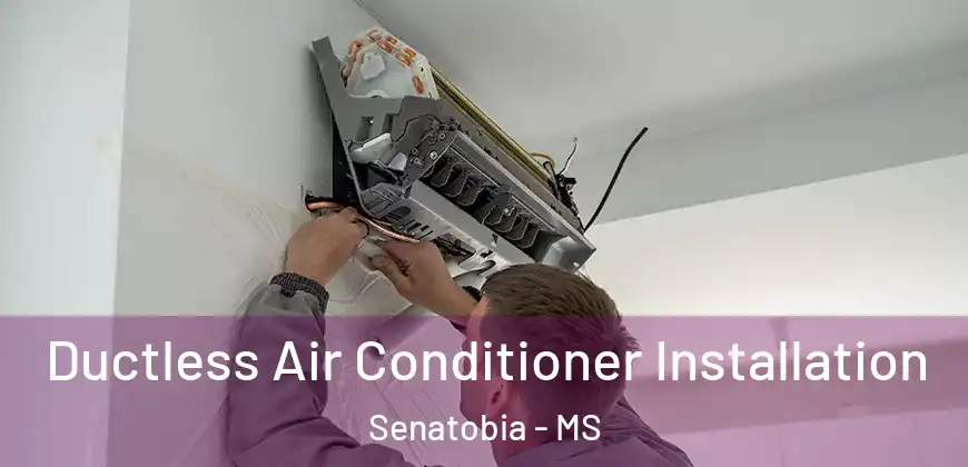Ductless Air Conditioner Installation Senatobia - MS