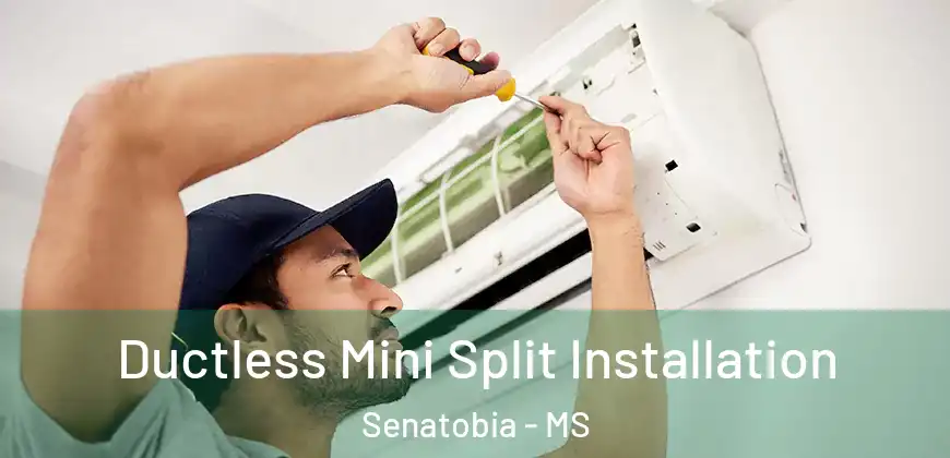  Ductless Mini Split Installation Senatobia - MS